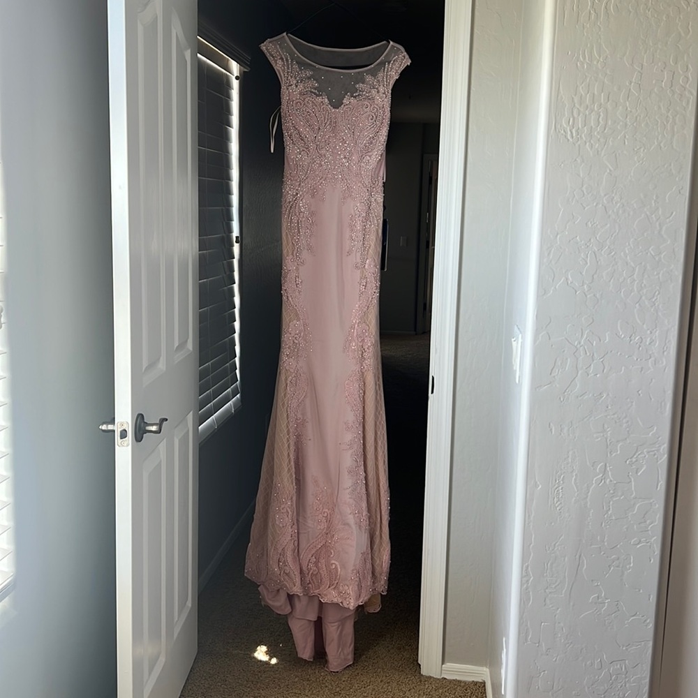 NEW Gorgeous Mauve/Nude Royal Queen Collection formal dress, size 6